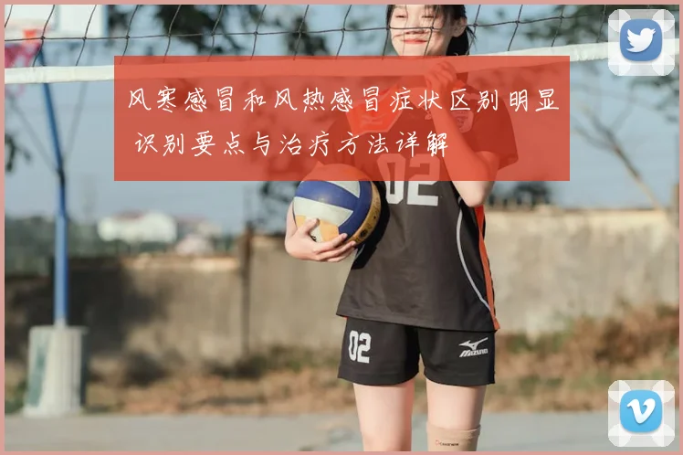 风寒感冒和风热感冒症状区别明显 识别要点与治疗方法详解