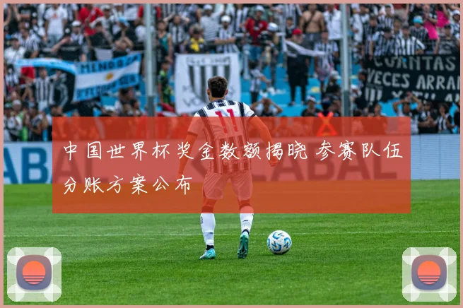 中国世界杯奖金数额揭晓 参赛队伍分账方案公布