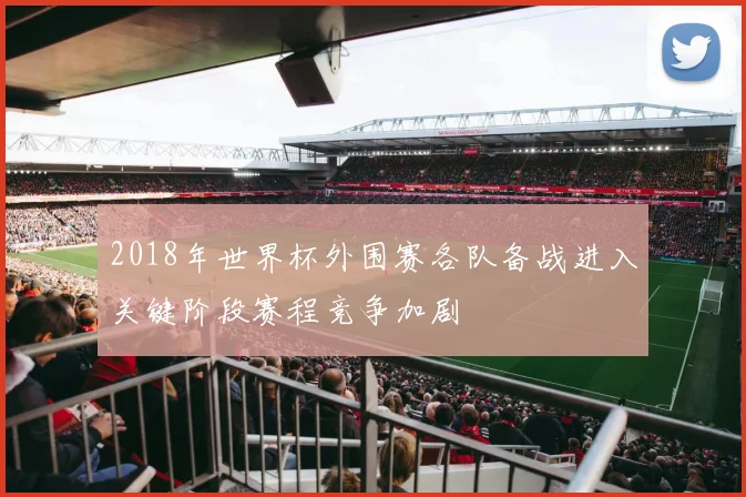2018年世界杯外围赛各队备战进入关键阶段赛程竞争加剧