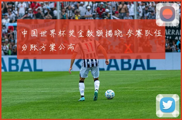 中国世界杯奖金数额揭晓 参赛队伍分账方案公布