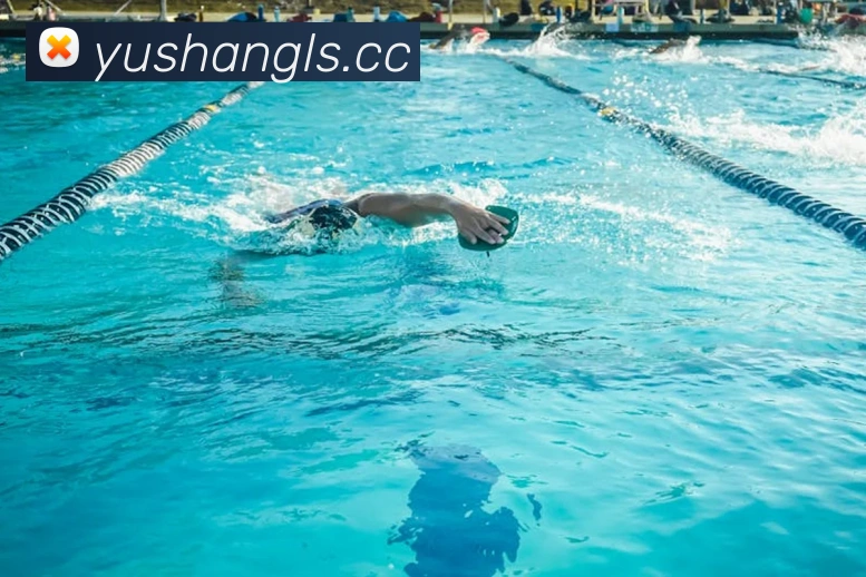 华体在线登录官网APP 封面图