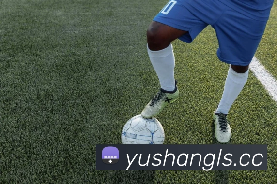 数据防护可视化